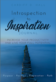 Introspection To Inspiration Journal 
